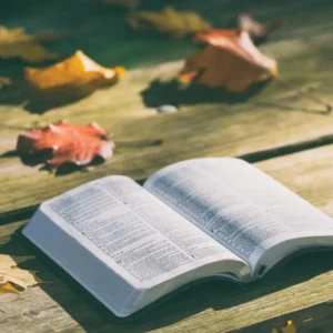 Open Bible on a wooden table among autumn leaves