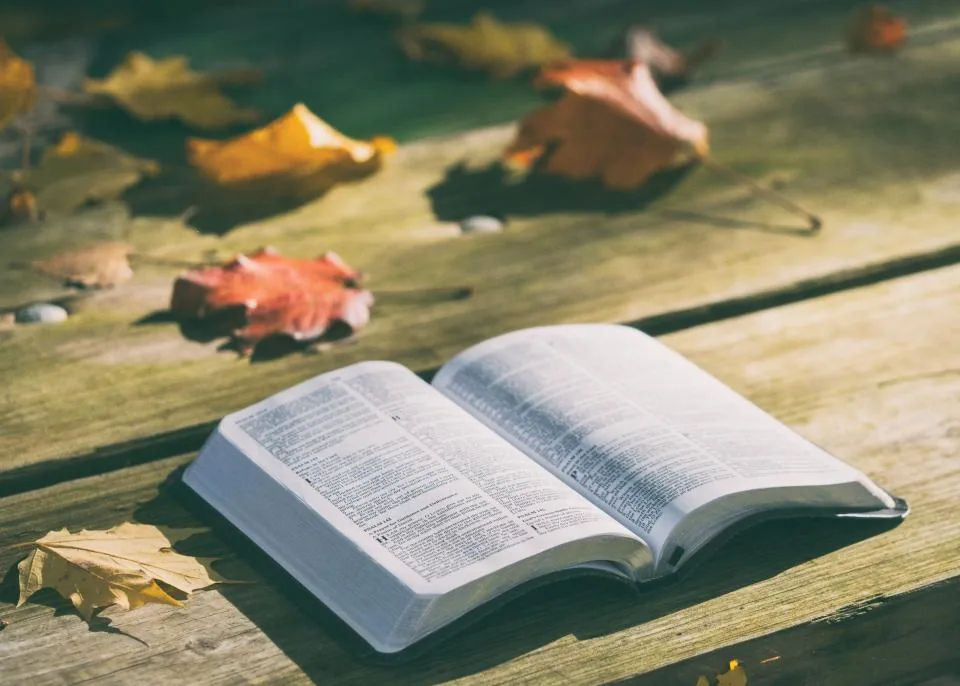 Open Bible on a wooden table among autumn leaves